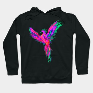 Pheonix Hoodie